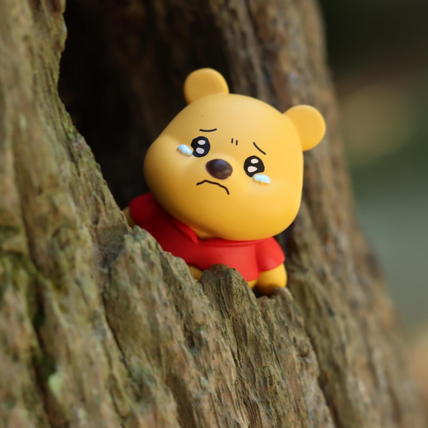 Popular Cartoon Series: Hold Back Your Tears Cute Figure