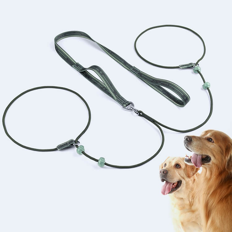 Smycz podwójna do wyprowadzania psów