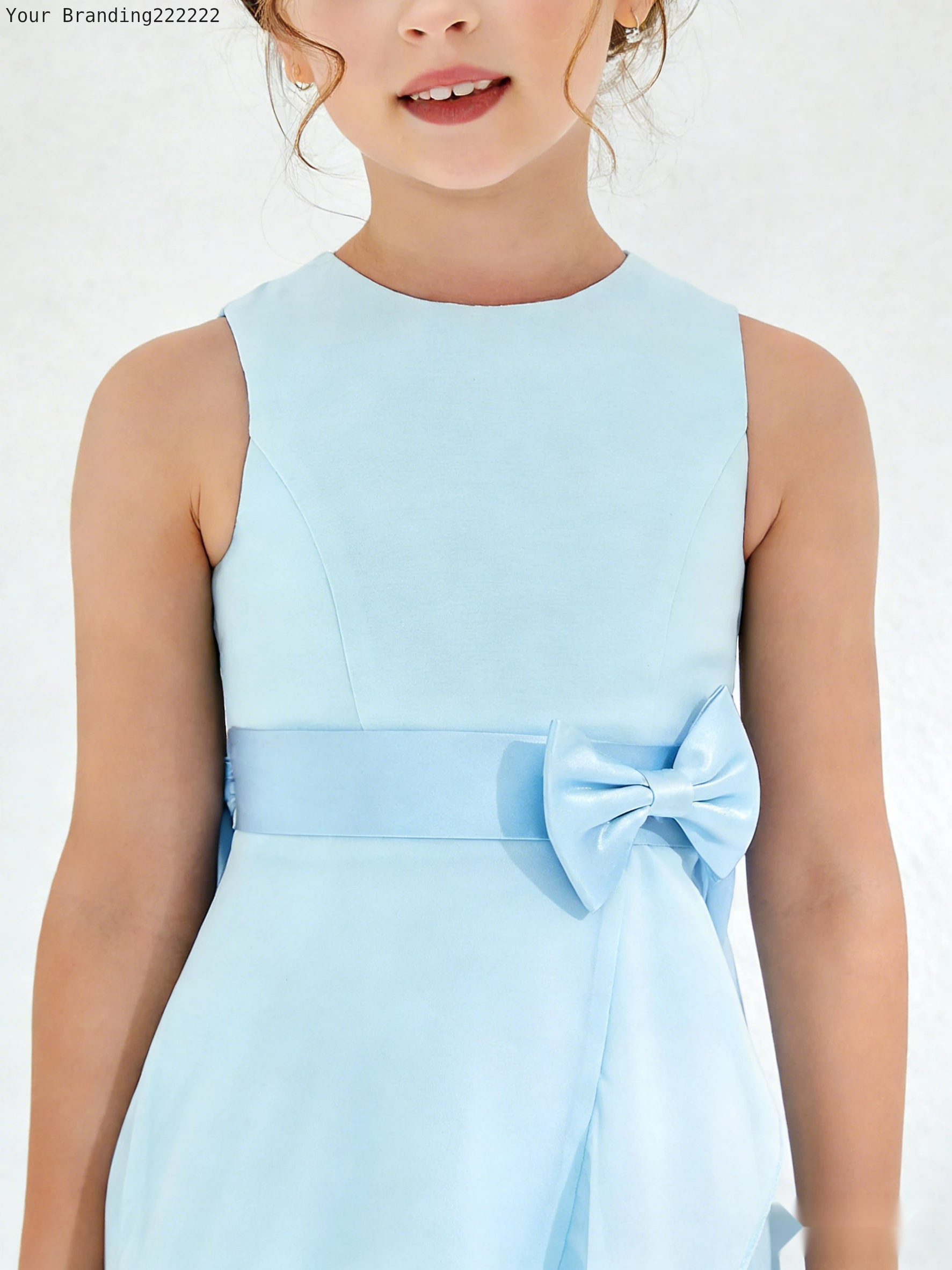 Ballerina Neckline Organza Dress