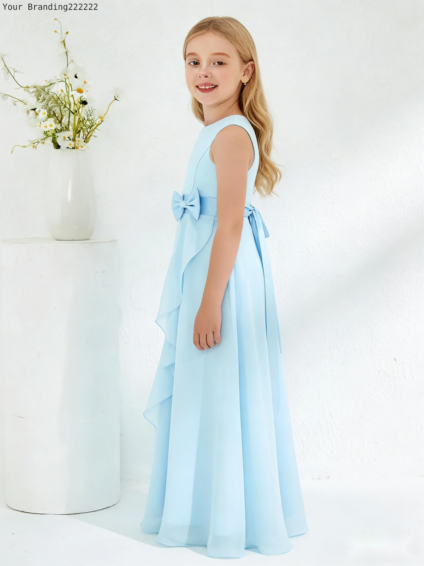 Ballerina Neckline Organza Dress