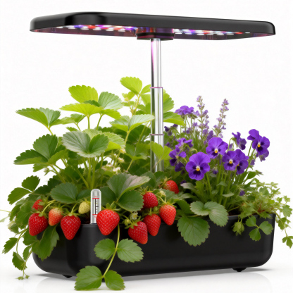 Aeqis Hydroponics Growing System 