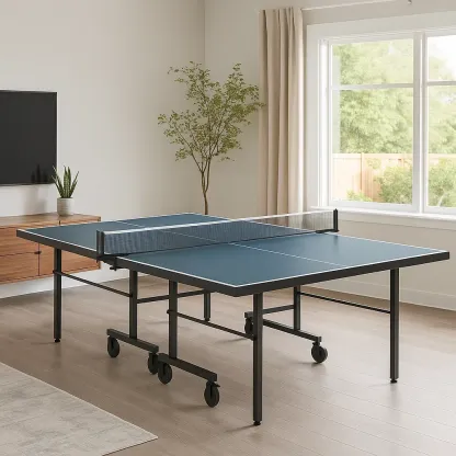 Tennis de table - MAISONLIVEN
