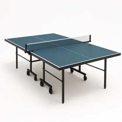 Tennis de table - MAISONLIVEN