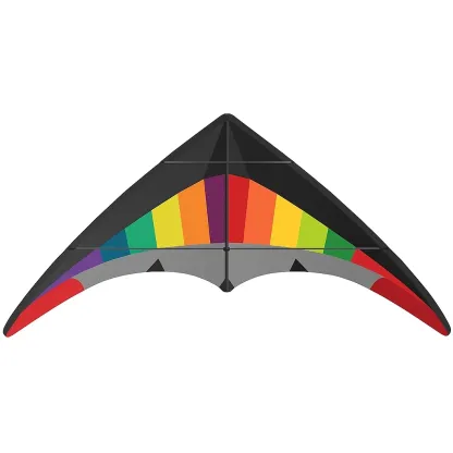 Cerfs-volants triangulaire 160x80 cm multicolore polyester