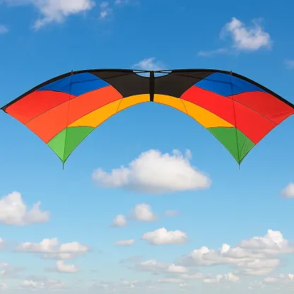 Cerf-volant acrobatique 2 lignes multicolore - Forme delta incurvée 230 cm