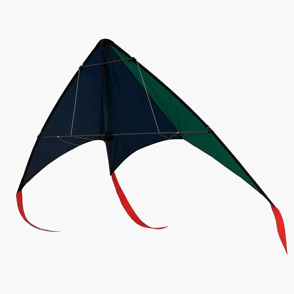 Cerfs-volants triangulaire 140x75 cm noir/bleu/vert polyester