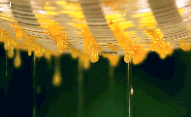 06.gif