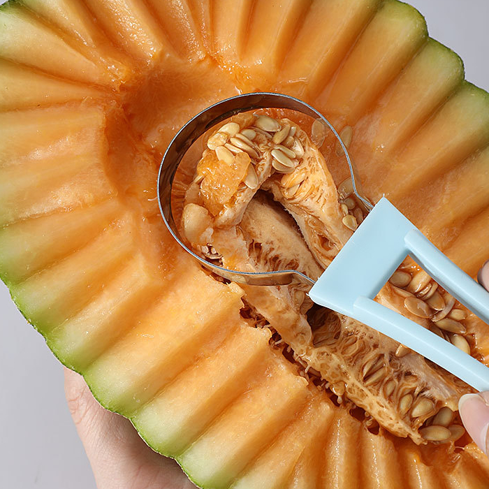 4 in 1 Stainless Steel Fruit Tool Set