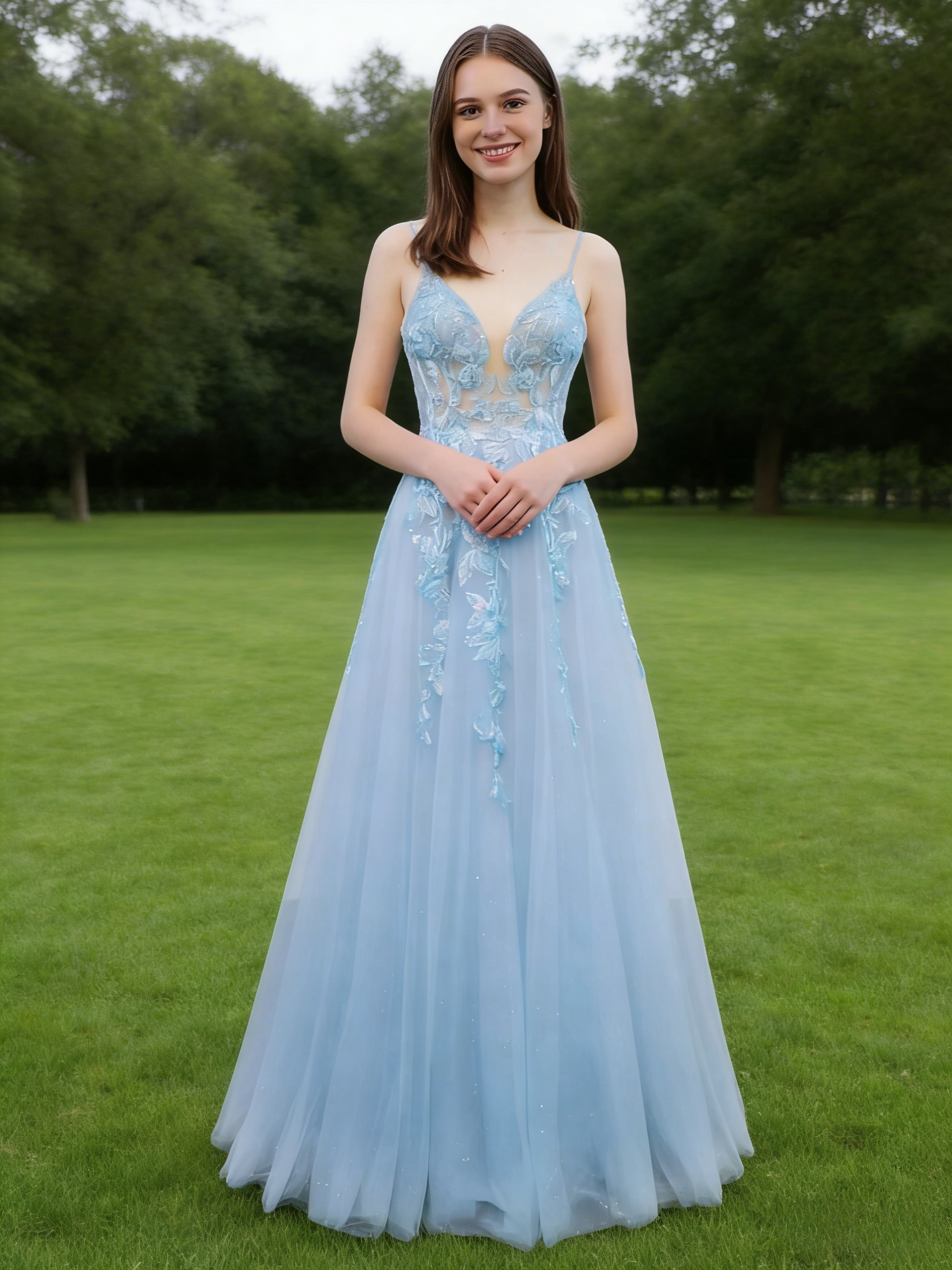 A Line Tulle Embroideried V Neck Evening Party Gown 
