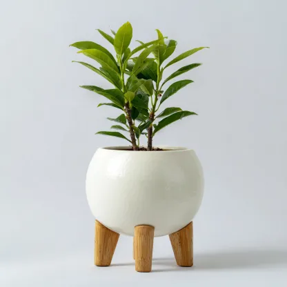 Vasi e supporti per piante-ceramica legno-24x24x35 cm-bianco-design moderno-Shelterza