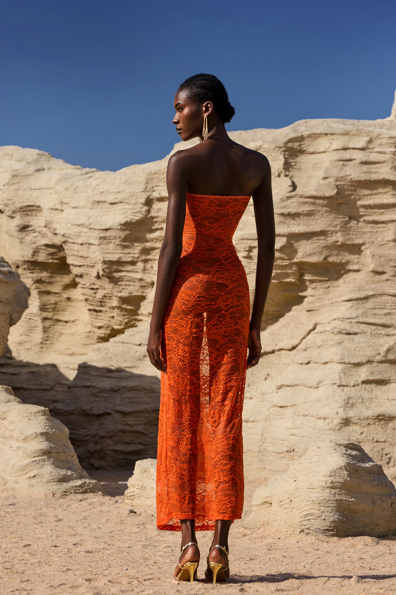 Selien Sleeveless Lace Maxi Dress