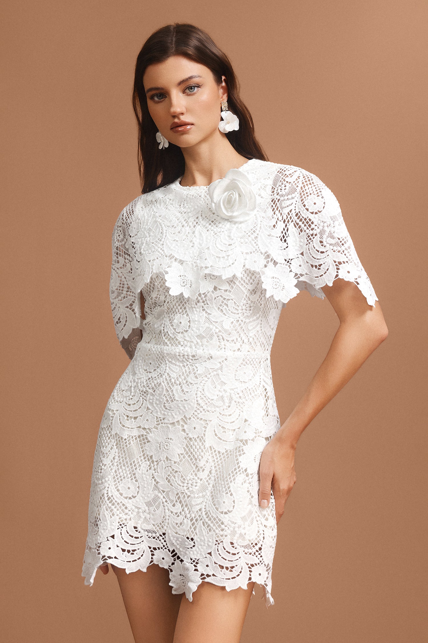 Vernes Round Neck Short Sleeves Lace Mini Dress