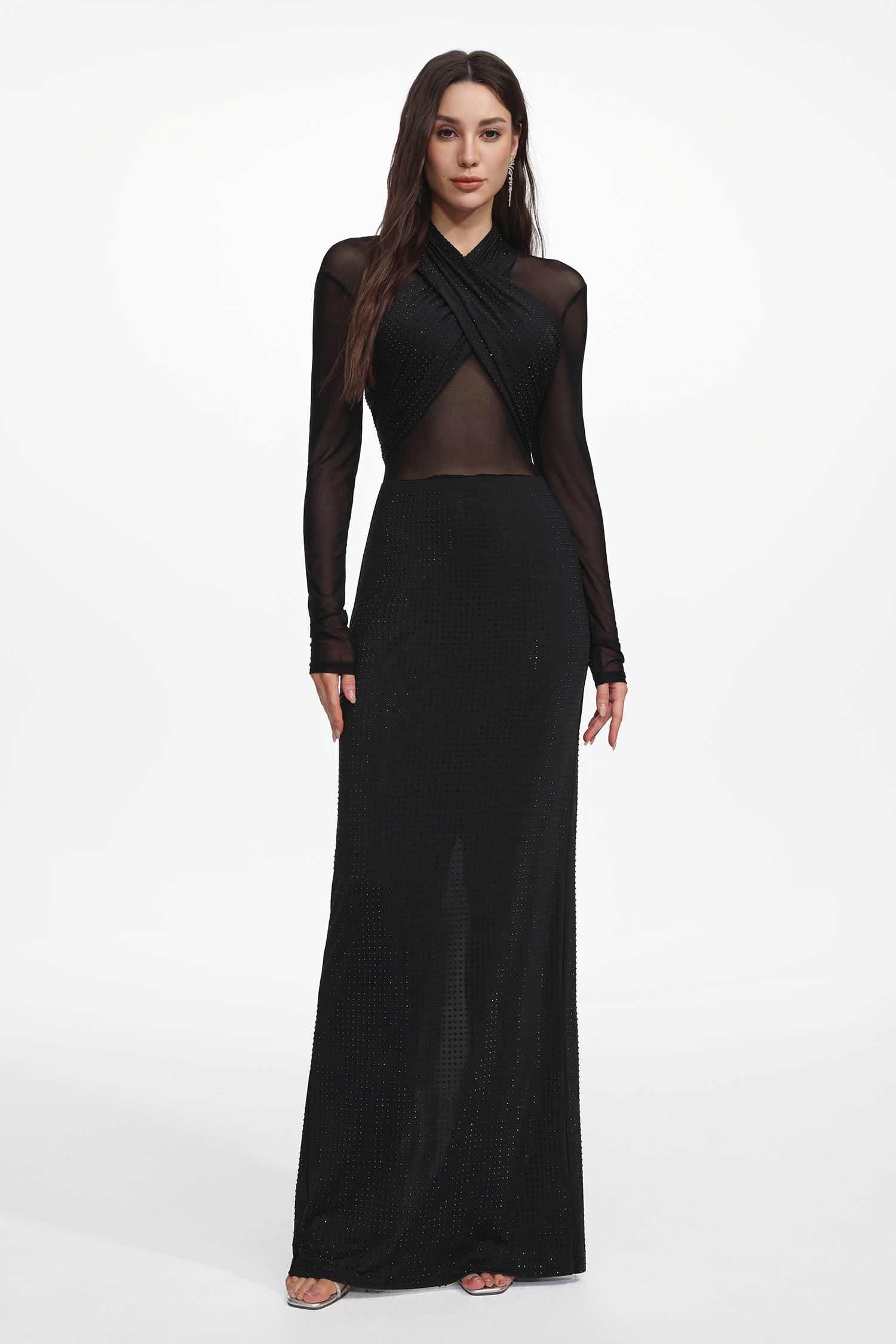 Nanon Glamorous Long Sheer Sleeve Crystal Maxi Dress