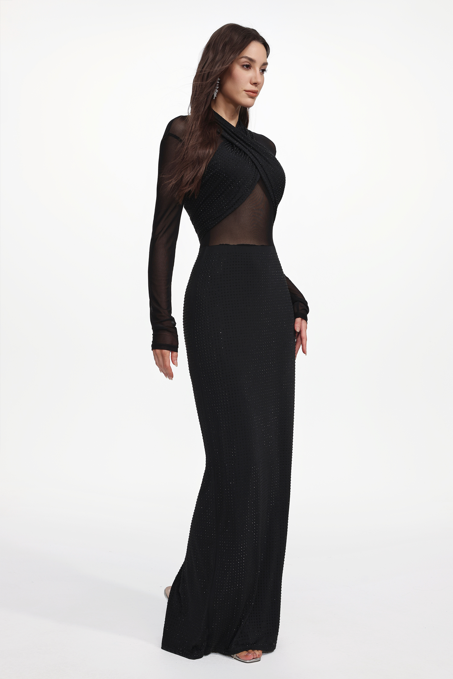 Nanon Glamorous Long Sheer Sleeve Crystal Maxi Dress