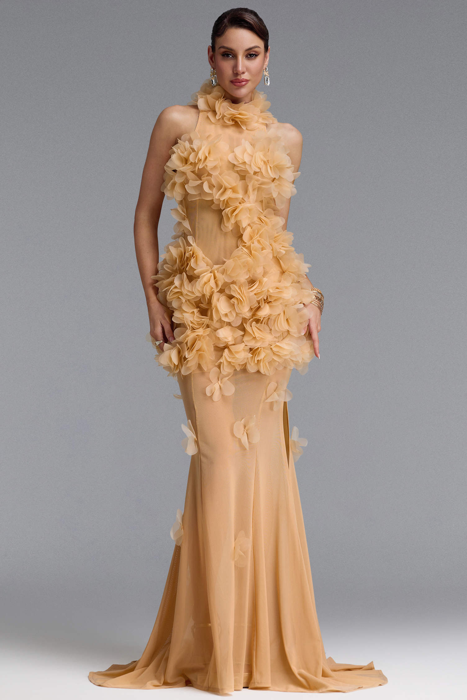 Rayna Elegant Contour High Neck Floral Mesh Beige Maxi Dress