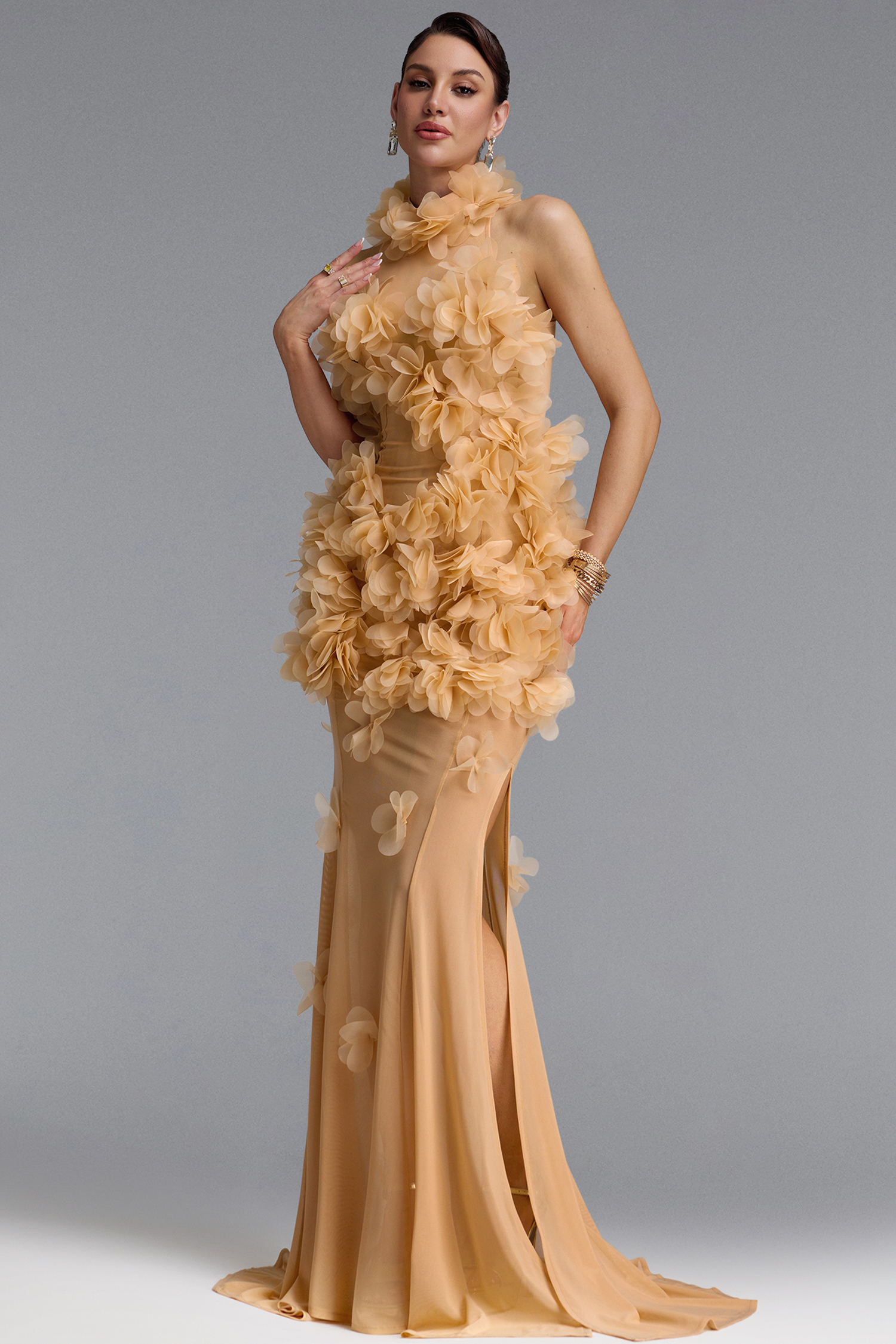 Rayna Elegant Contour High Neck Floral Mesh Beige Maxi Dress