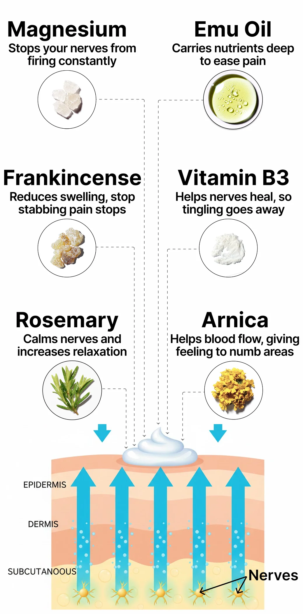 LAOZIK Neuropathy Pain Relief & Repair Lotion image Frame_1437254853_ed479805-316d-4b28-8563-ac610393216c.webp__PID:f4d13a80-a198-4fc4-8473-cdc2ec71726f