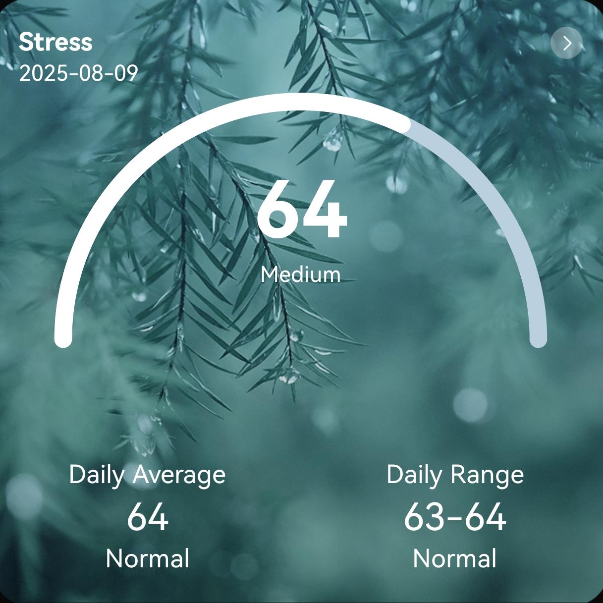 {"default":"SofiRing S10"}
