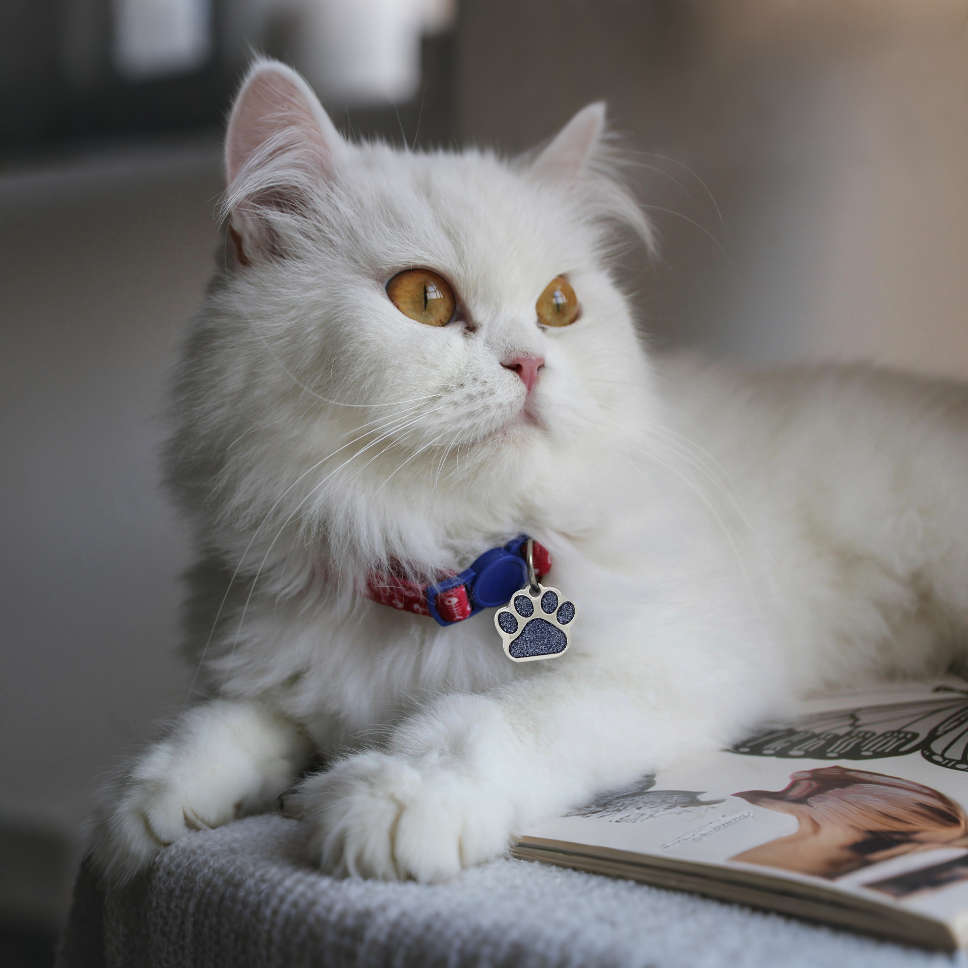 Personalized Handmade Glitter Paw Pet ID Tag | MNAccs101