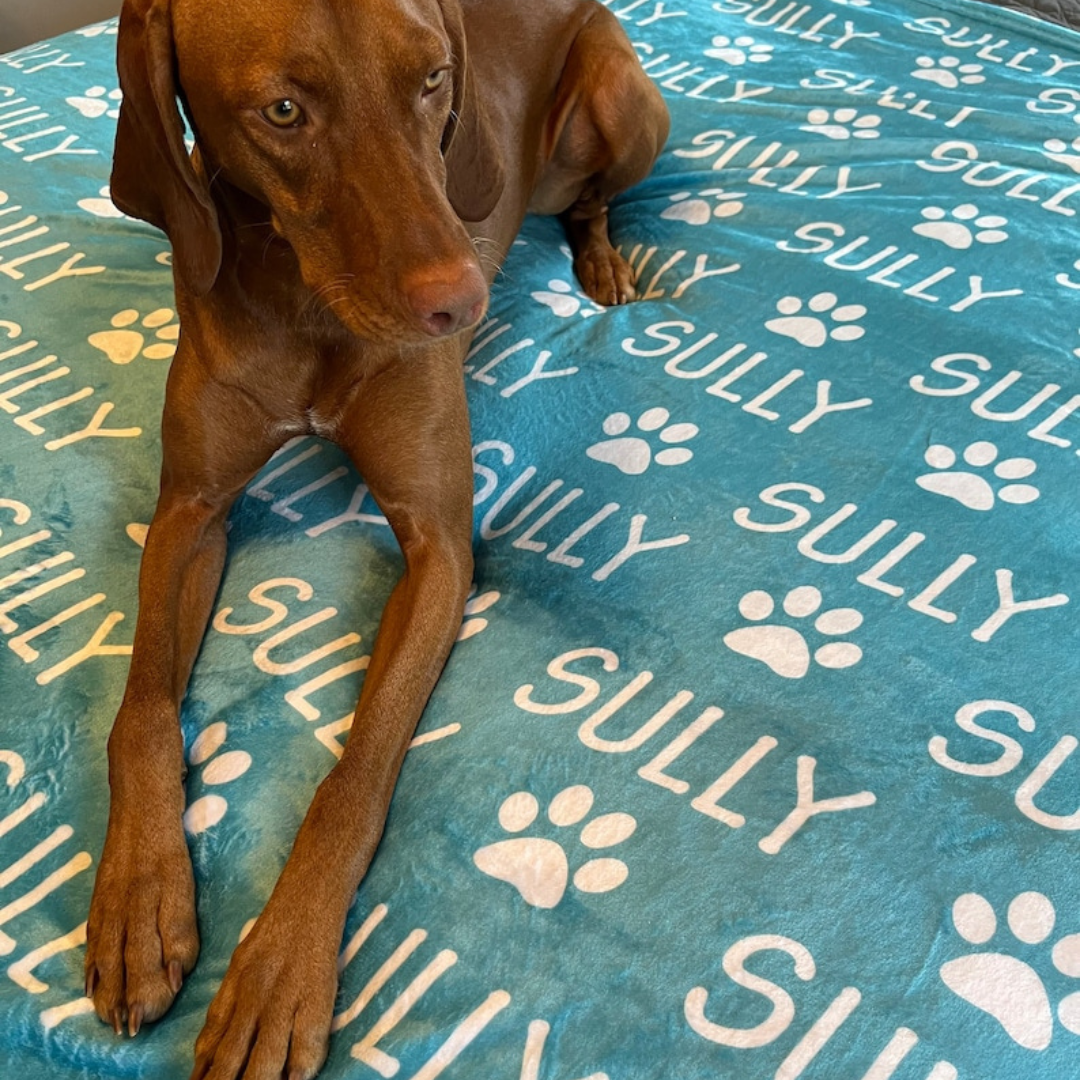Personalized Lovely Pet Blanket for Comfort & Unique | BKPet10