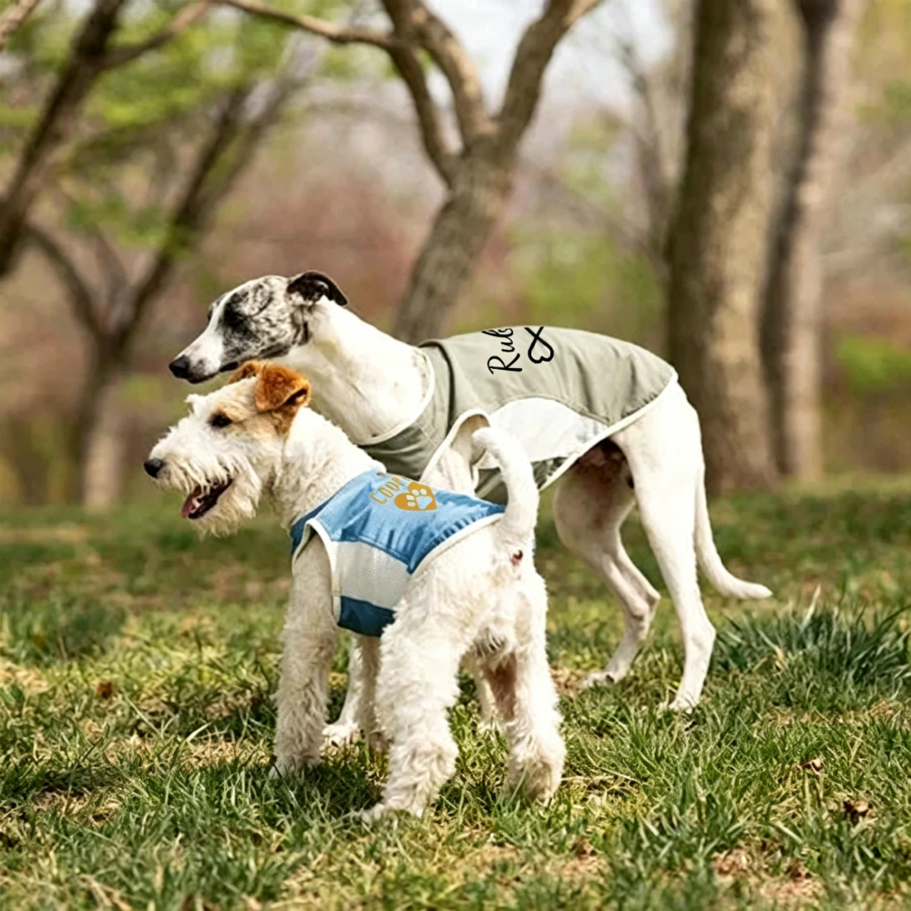 Personalized Summer Cooling Mesh Dog Vest | MNCloth223