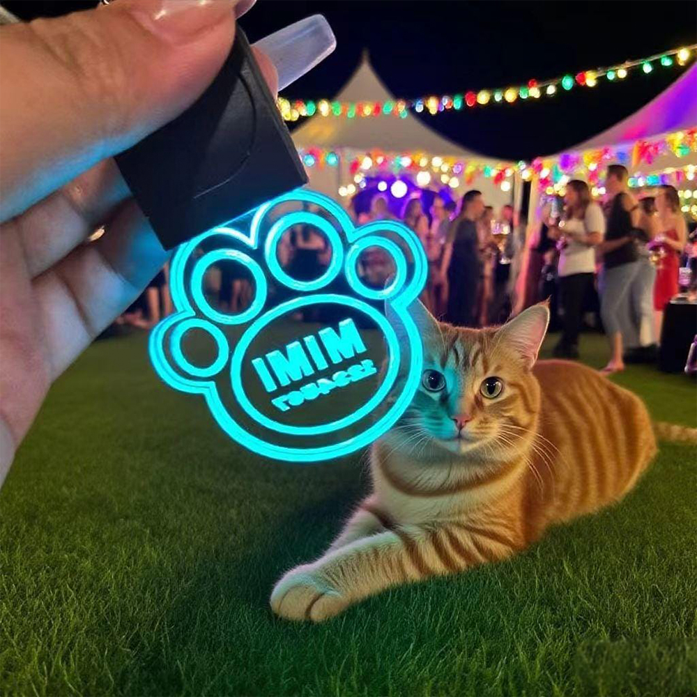 Personalized Color Changing Light Up Pet Acrylic Name Tag | BKPet234