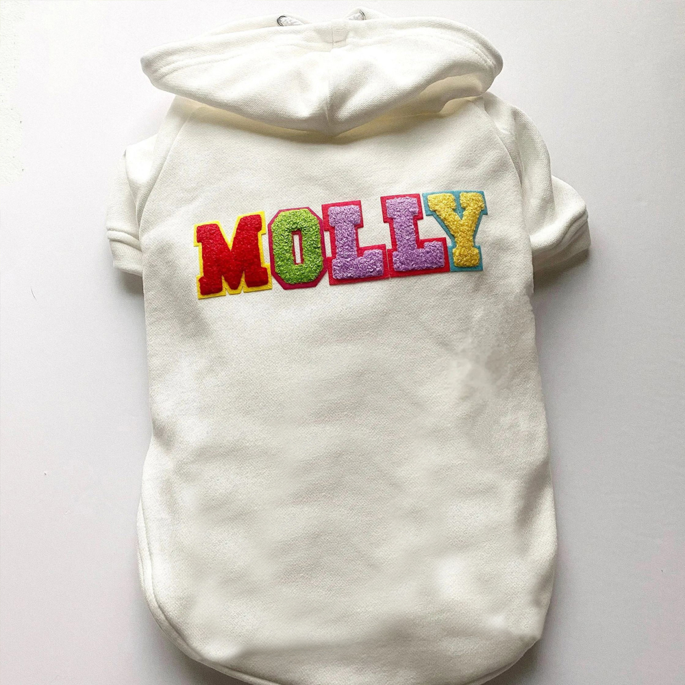 Personalized Varsity Letter Dog Hoodie for Comfort and Unique | BKPet140