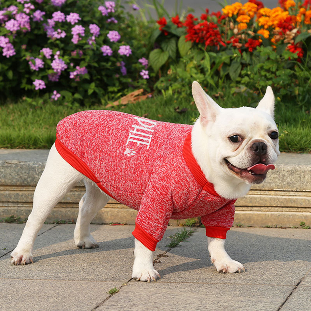 Personalized Embroidery Warm Puppy Hoodie for Comfort & Unique | BKPet296