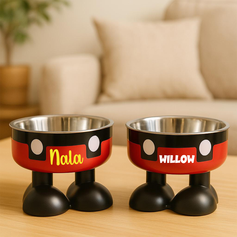 Personalized Stainless Steel Neck Protection Pet Food Bowl | BKPet220