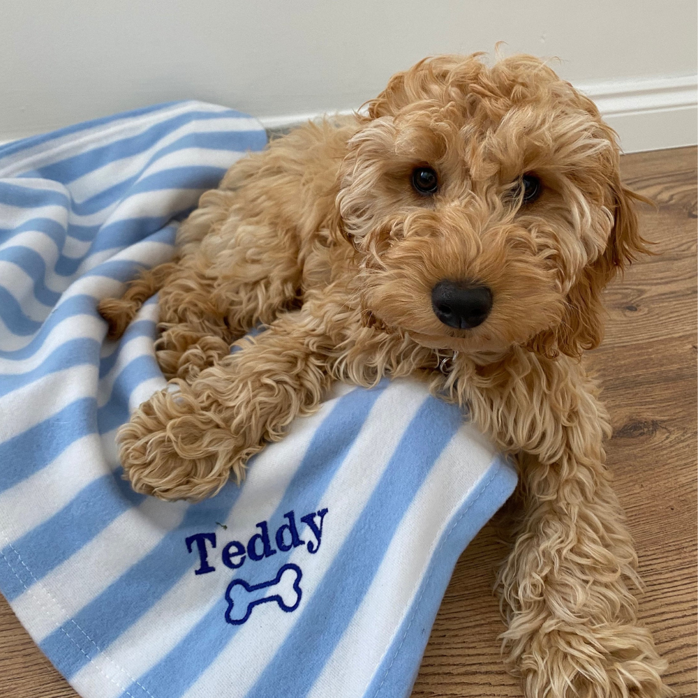 Personalized Warm Pet Blanket for Comfort & Unique | BKPet240