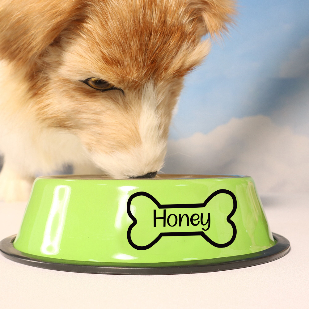 Personalized Pet Stainless Steel Dog Bowl  | BKPet137