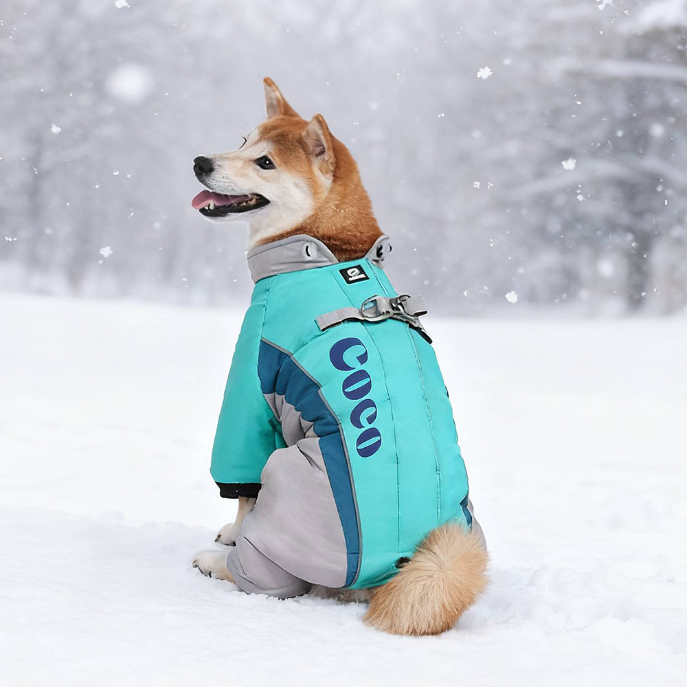 Personalized Pet Winter Warm Windproof Puffer Jacket | BKPet276