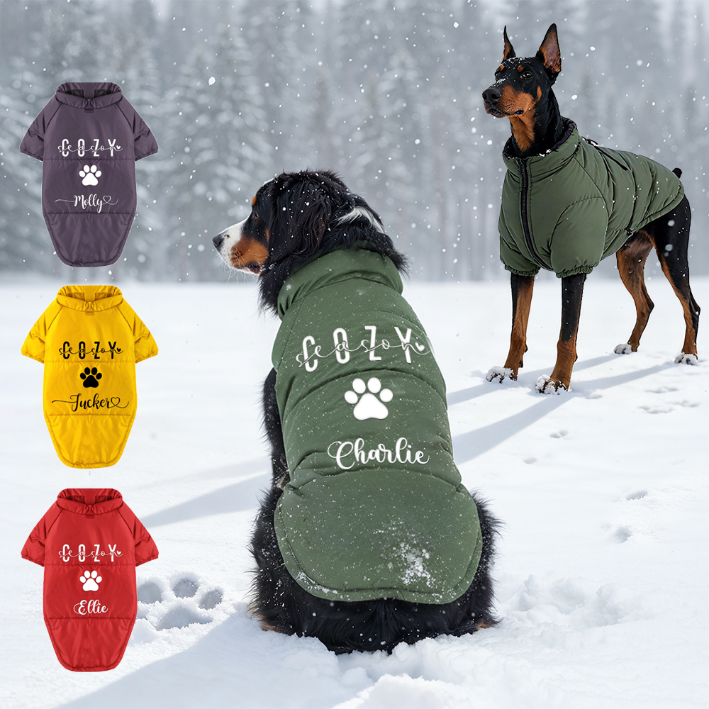 Personalized Pet Winter Warm Windproof Large Puffer Jacket | BKPet279