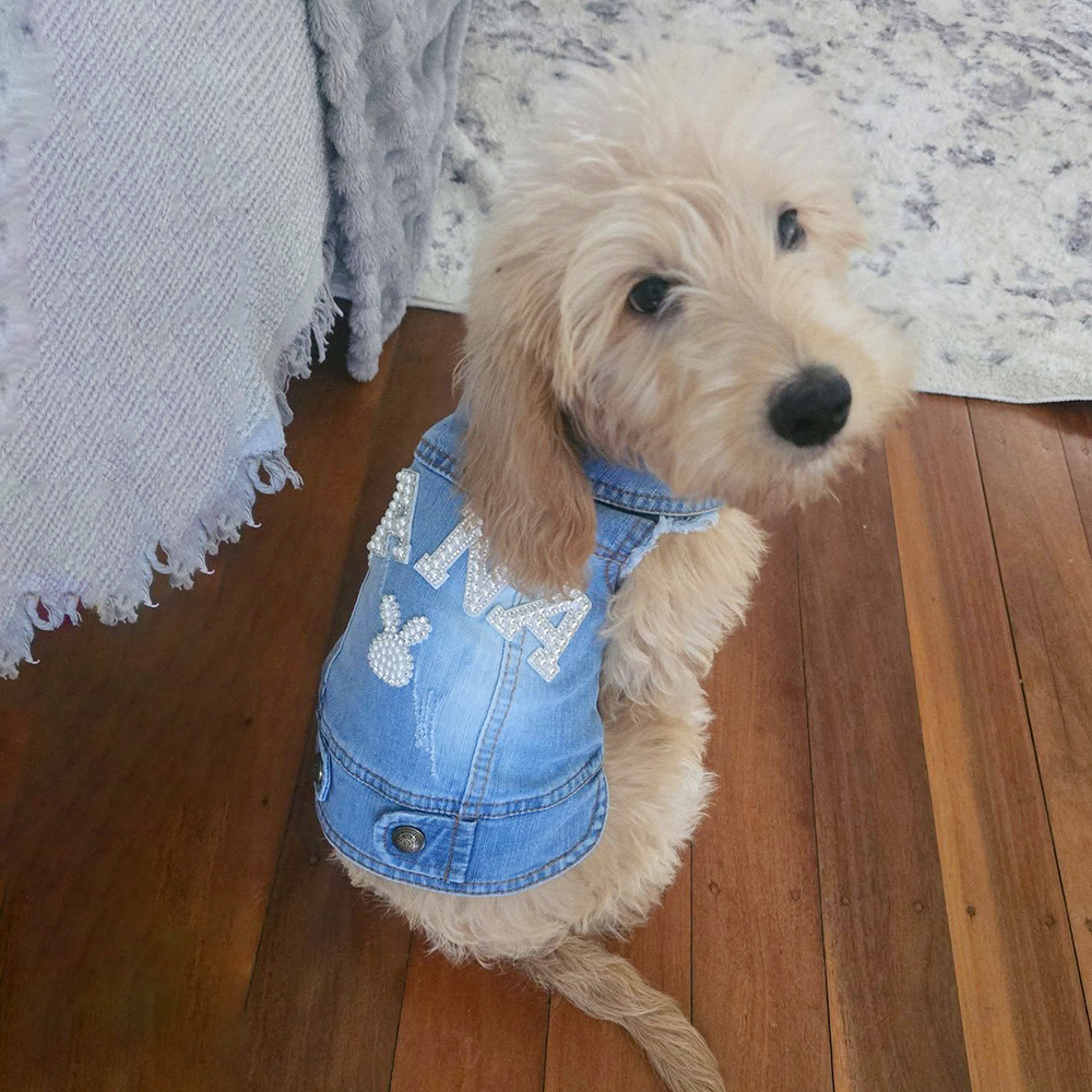 Personalized Handmade Pearl Patch Pets Denim Jacket | MNCloth61
