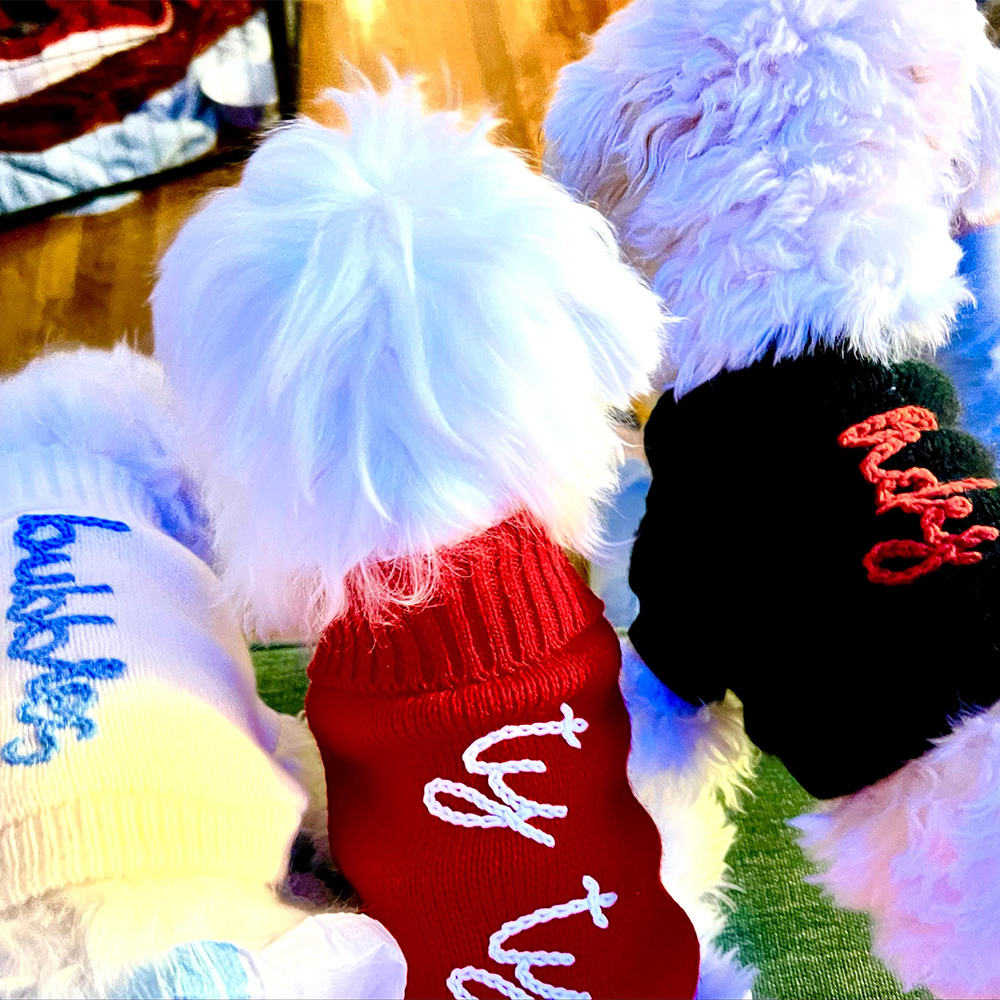Personalized Hand Embroidery Pets Christmas Knit Sweater | BKPet235
