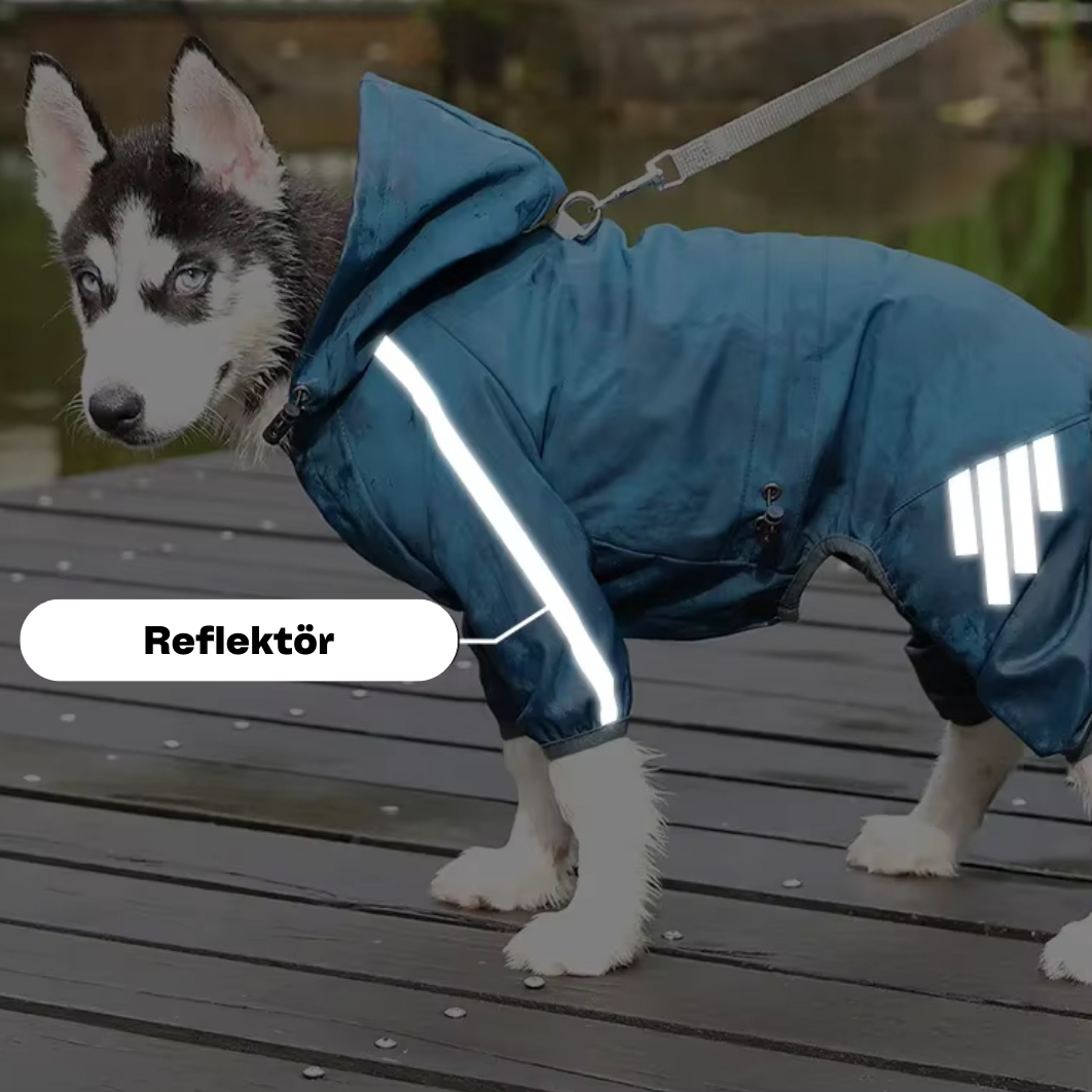 Personalized Pet Waterproop Raincoat with Hood | BKPet346