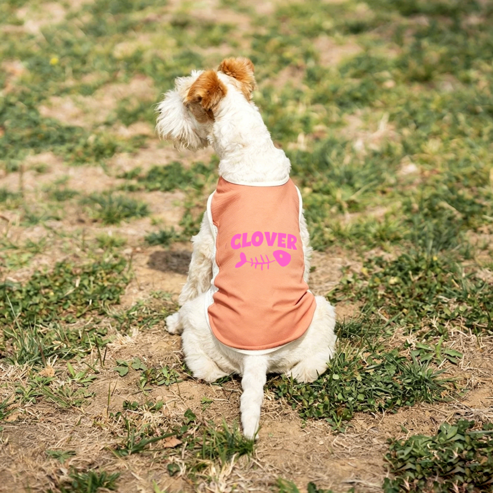 Personalized Summer Cooling Mesh Dog Vest | MNCloth223