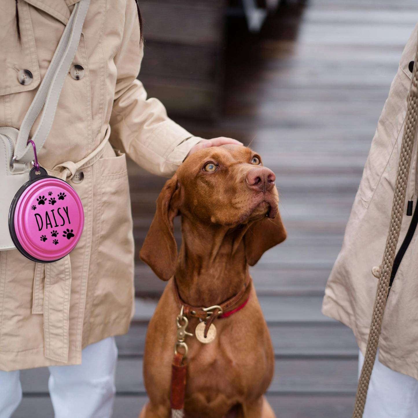 Personalized Silicone Foldable Travel Pet Bowl | BKPet79