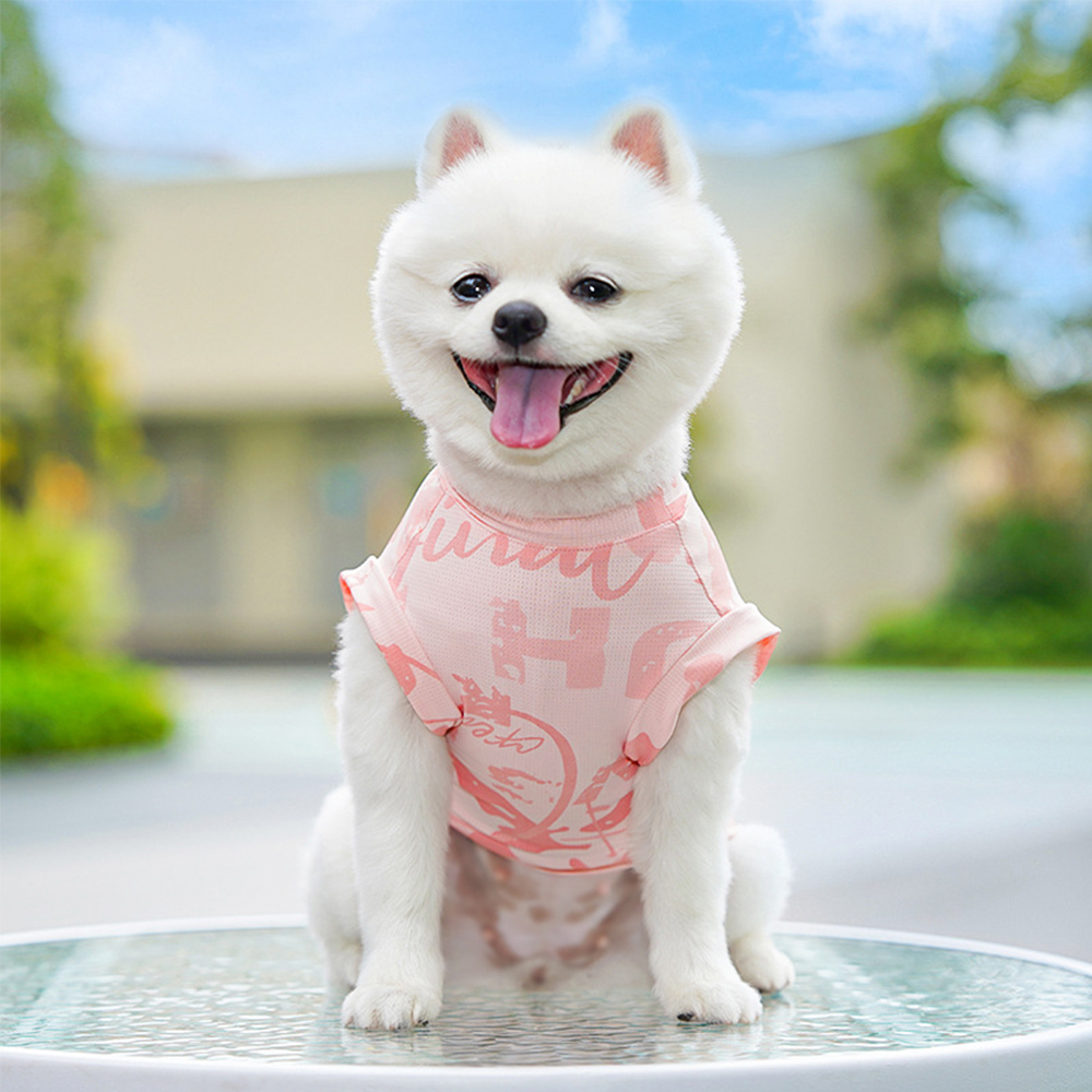 Personalized Breathable Pet Summer Cool Mesh Vest | BKPet192