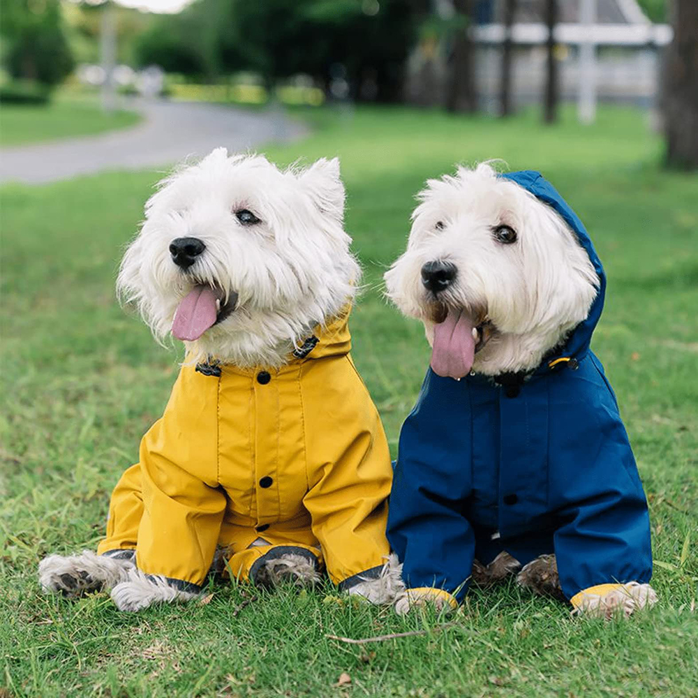Personalized Pet Waterproop Raincoat with Hood | BKPet346