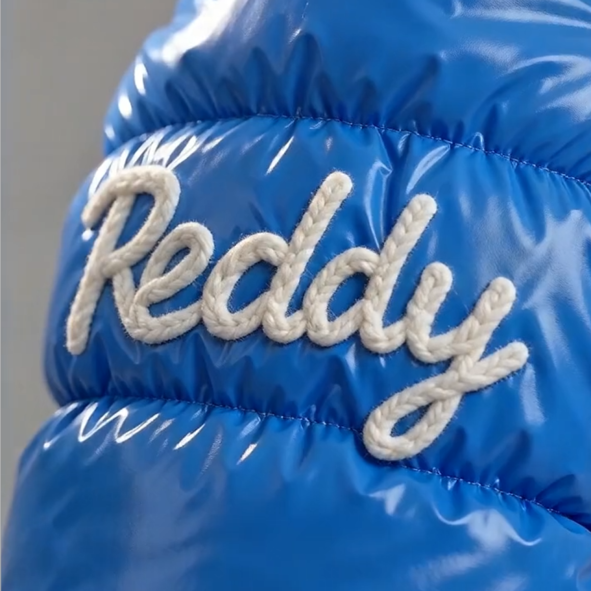 Personalized Pets Winter Warm Windproof Jacket | MNCloth254