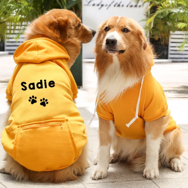 Personalized Warm Puppy Hoodie for Comfort & Unique | BKPet100