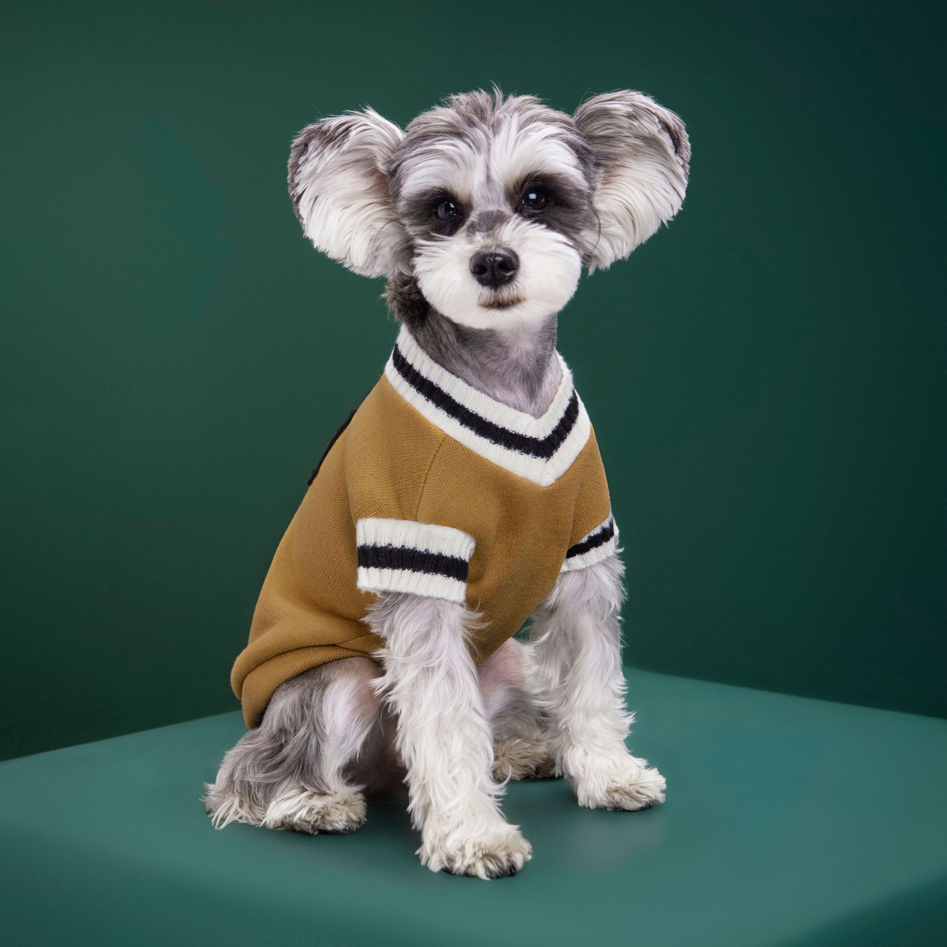 Personalized Leather Patch Pets Sweater | BKPet98