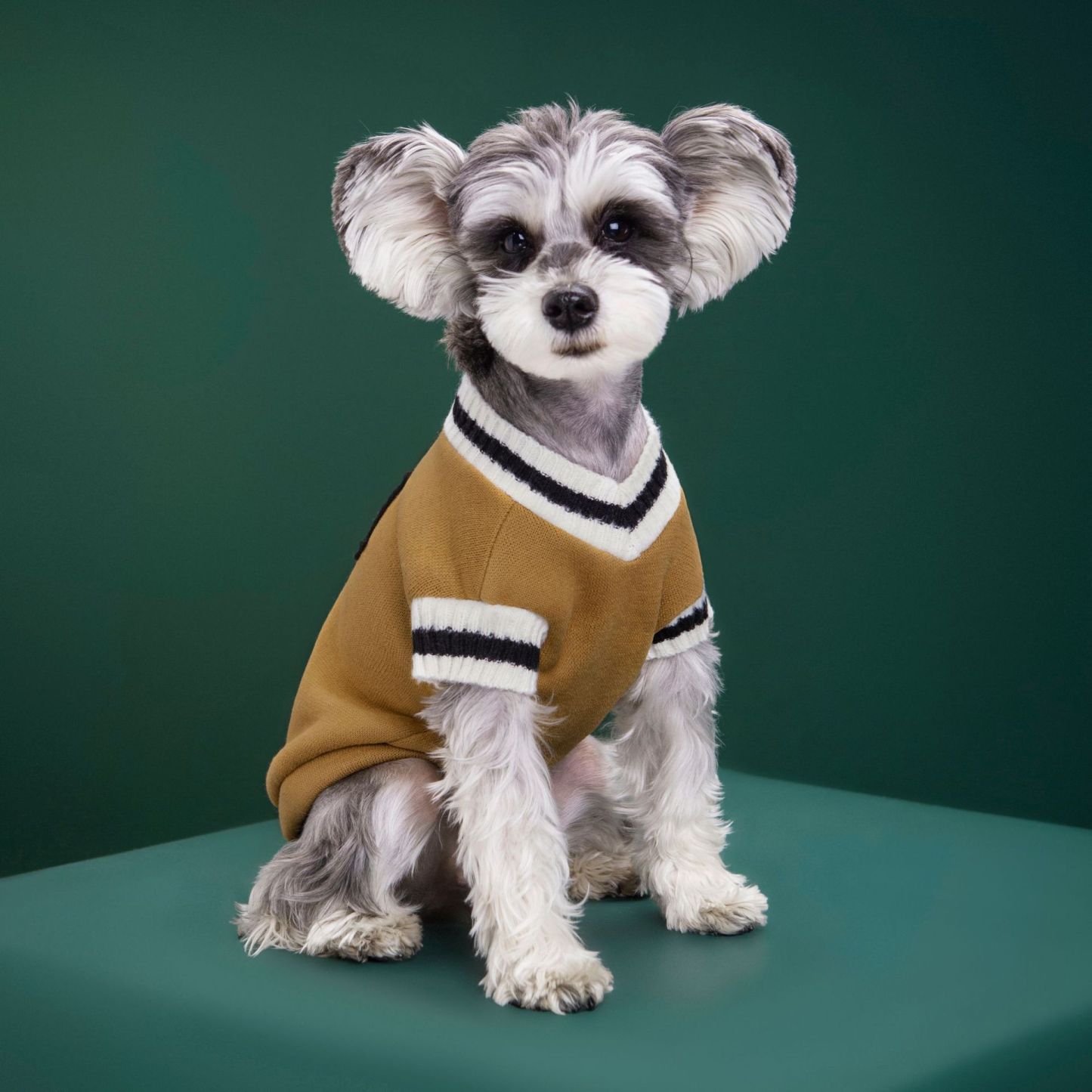 Personalized Leather Patch Pets Sweater | BKPet98