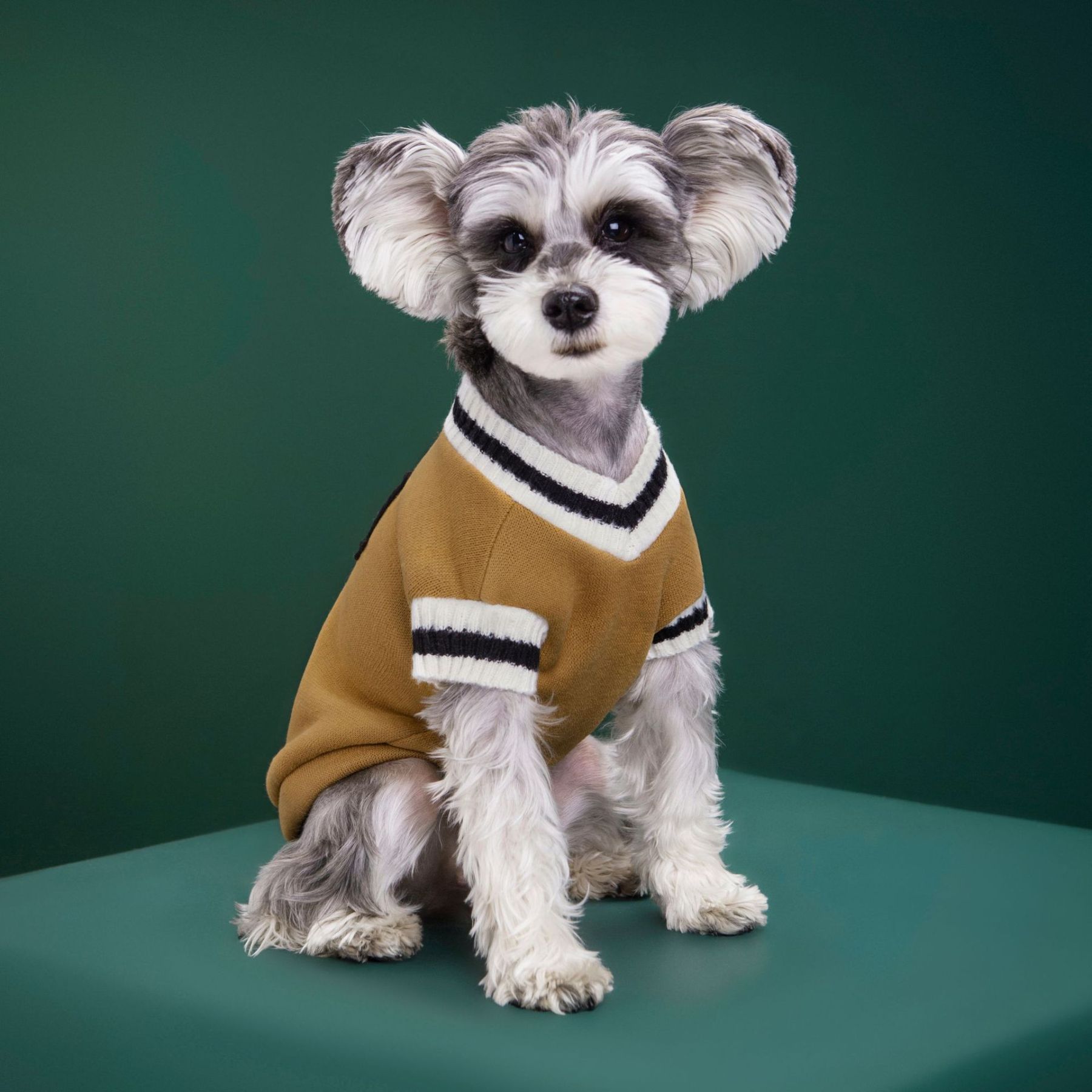 Personalized Leather Patch Pets Sweater | BKPet98