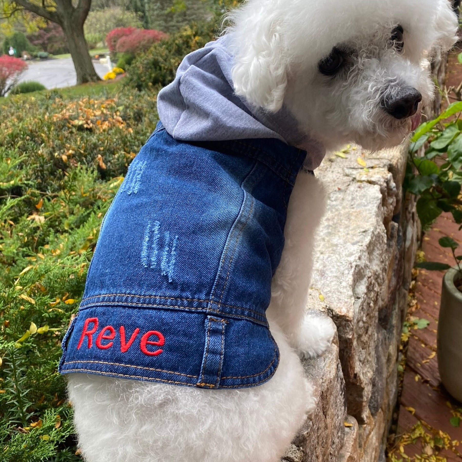 Personalized Embroidered  Pets Denim Jacket | BKPet54