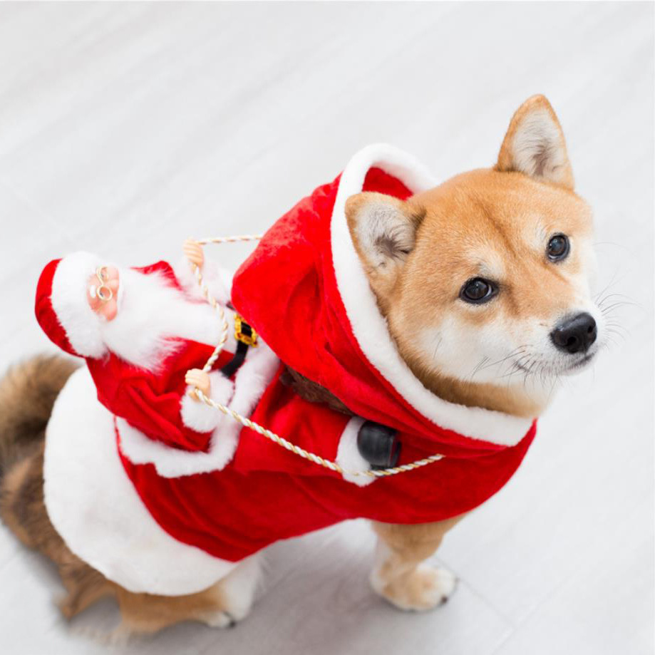 Personalized Christmas Santa Pet Riding Clothes | BKPet96