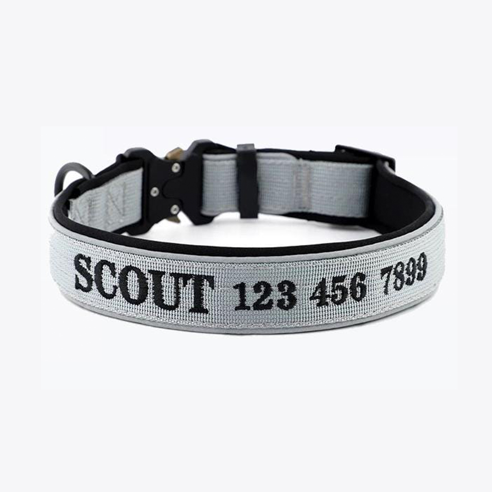 Personalized Embroidered Dog Collar & Leash Set | BKPet434