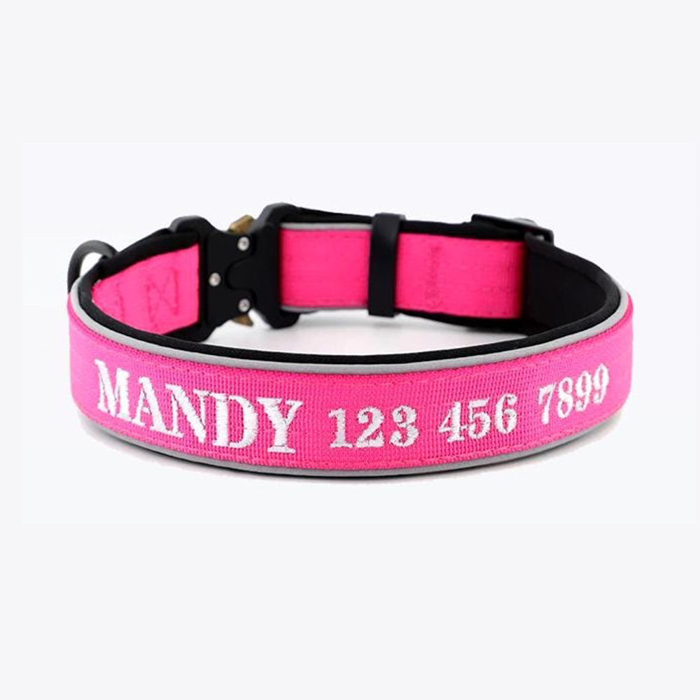 Personalized Embroidered Dog Collar & Leash Set | BKPet434