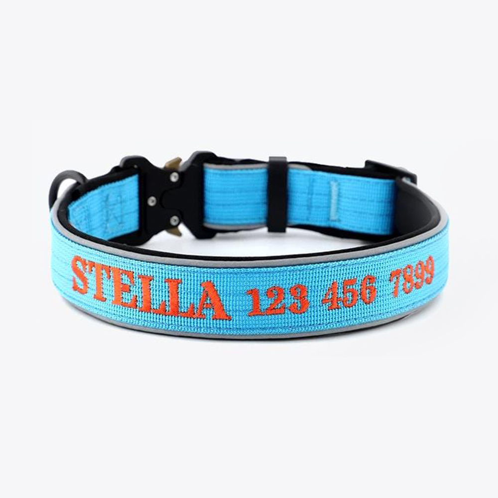 Personalized Embroidered Dog Collar & Leash Set | BKPet434